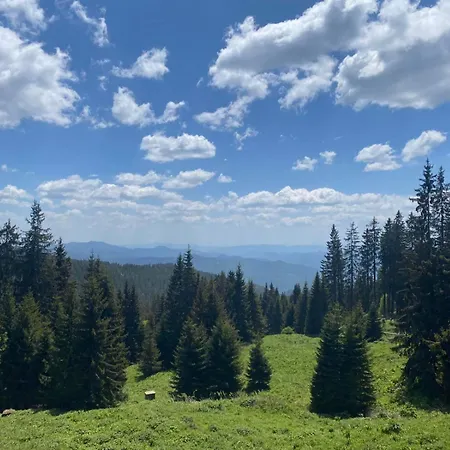 公寓 Mountain 潘波洛沃