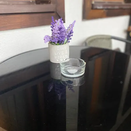 Mountain Apartament *
