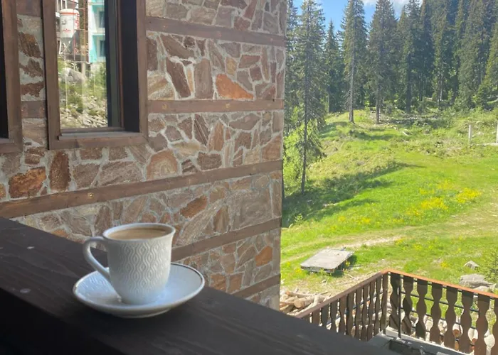 Mountain Appartement Pamporovo